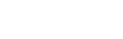 Dyna-King